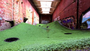 field2