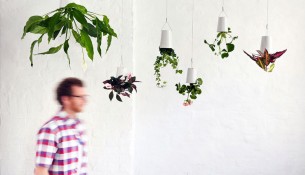 boskke-skyplanter-03
