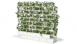 greenwall_light_greenline-nautinox-living